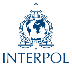6 Interpol